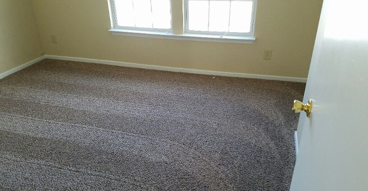 vacuumed_carpet